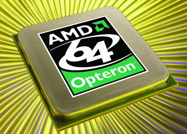 AMD在2003年4月22日发布了第一个单核皓龙（Opteron）芯片