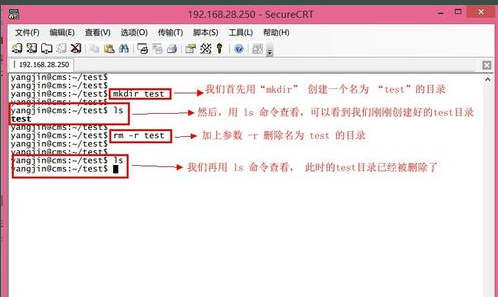 linux怎么删除文件夹？使用“SecureCRT”来解决！