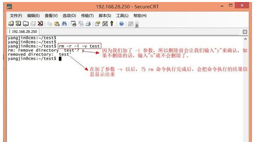linux怎么删除文件夹？使用“SecureCRT”来解决！