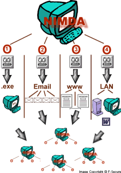 Nimda于2001年发布，通过电子邮件和网页传播感染了数千台计算机