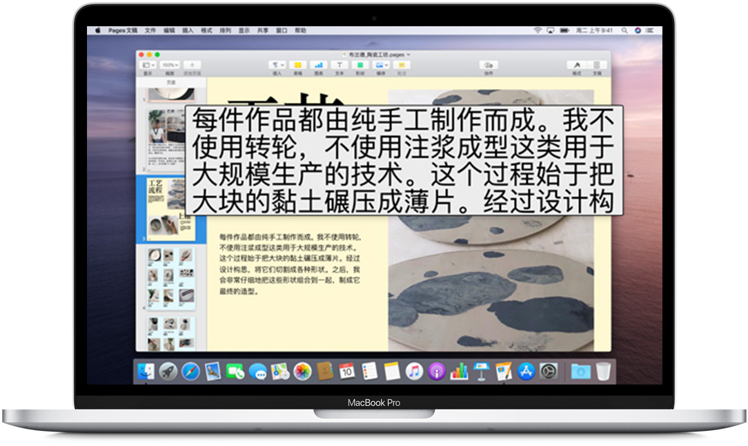 Mac视力辅助功能 - 基本操作以及设置 - Macbook Pro用户手册
