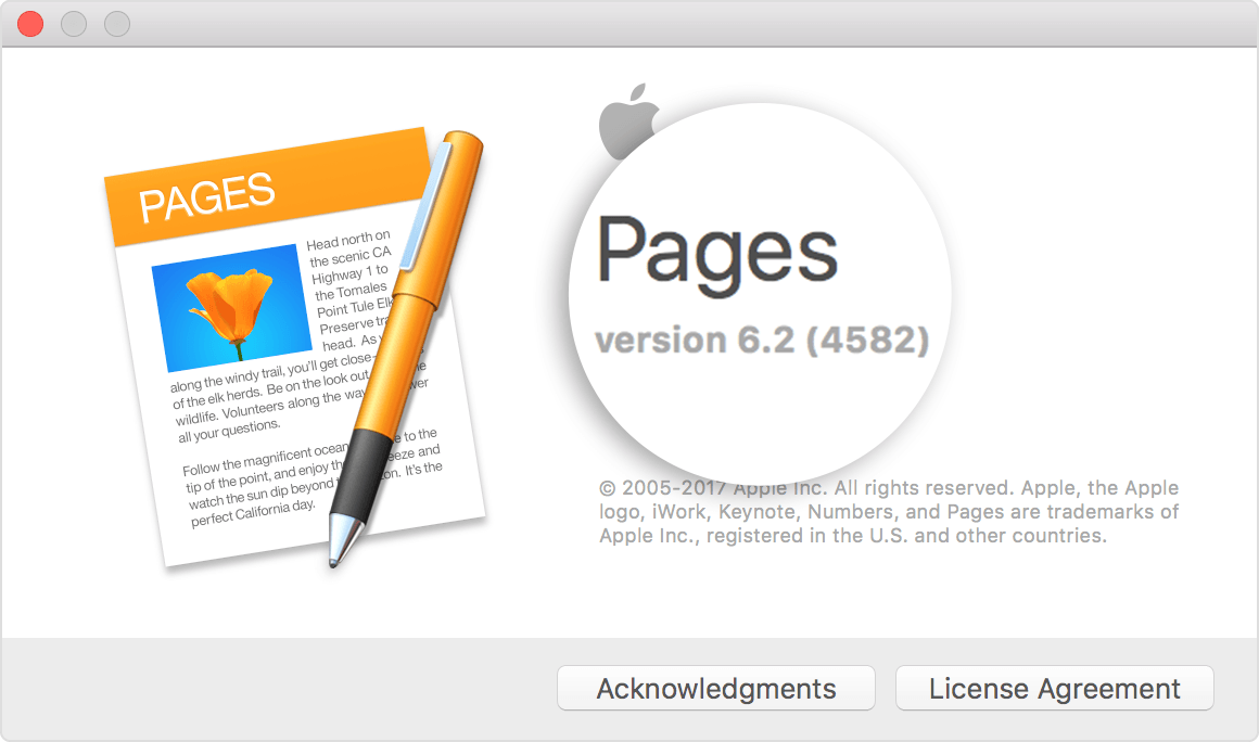 Pages 1.0 于2005年5月上市