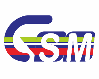 1990年，第一代GSM标准完成，GSM系统开始投入应用