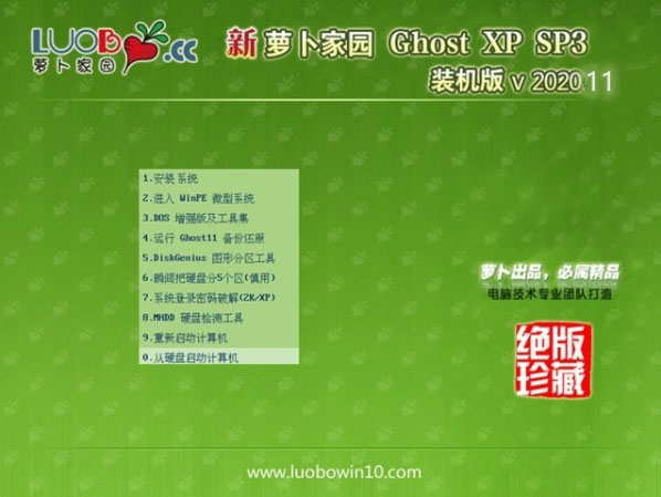萝卜家园 GHOST XP SP3 V202011