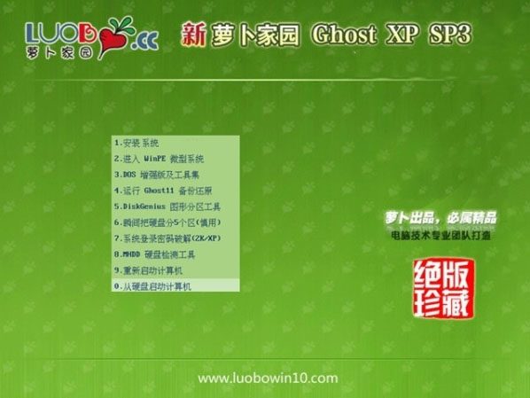 萝卜家园 GHOST XP SP3 V202101