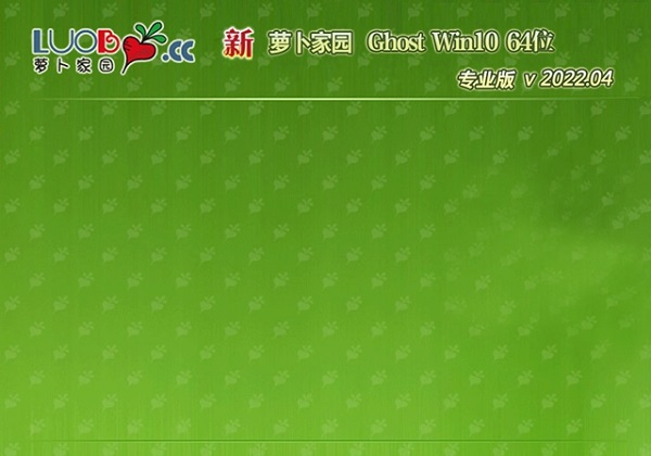 萝卜家园 Ghost Win10 2004 64位 专业版 V202204