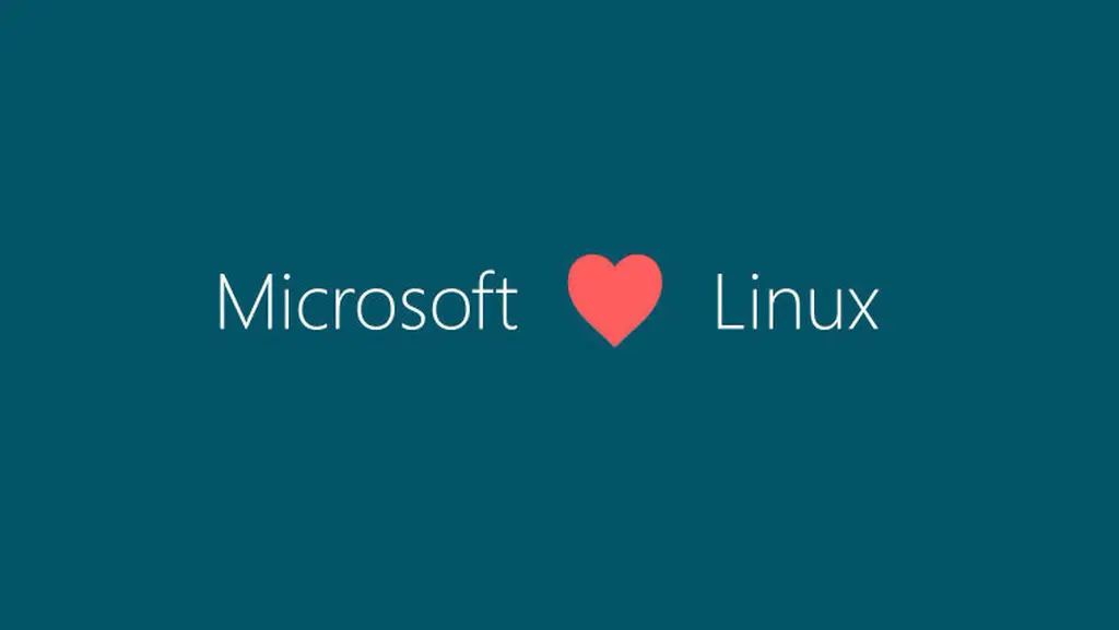 微软支持Linux的XDP项目 并推出XDP for Windows开源项目