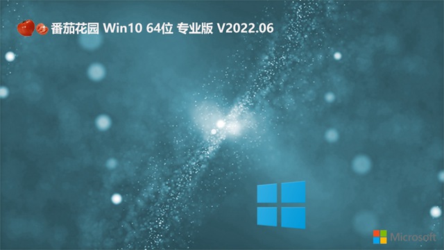 番茄花园 GHOST Windows10 64位 v202206