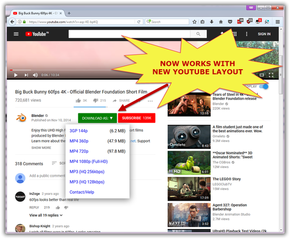 Easy Youtube Video Downloader Express（视频下载工具）