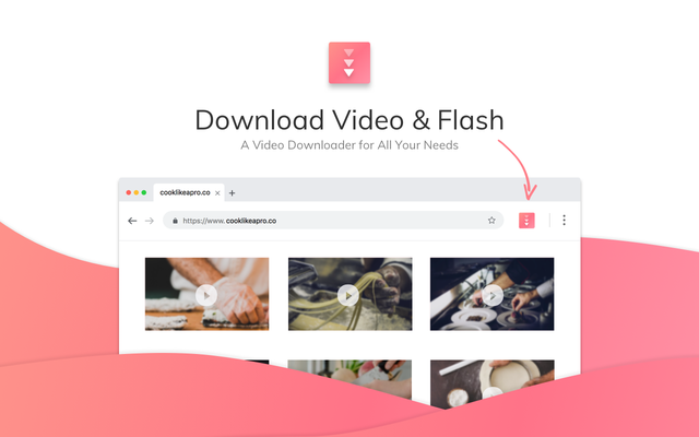 Flash and Video Download