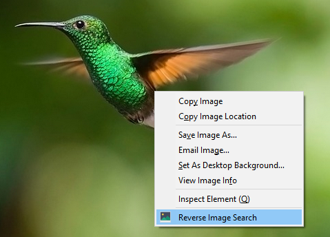 Reverse Image Search（逆向图像搜索）