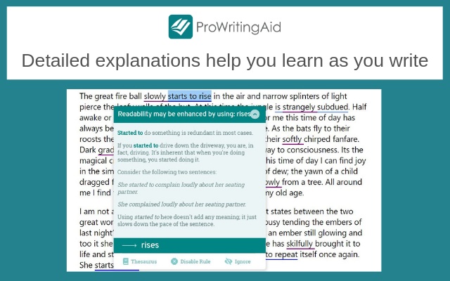 ProWritingAid Grammar Checker & Writing Coach(语法检查)