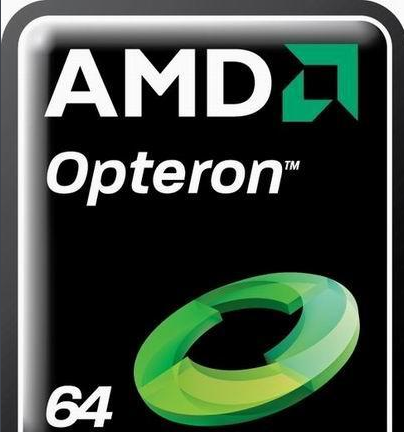 AMD在2003年4月22日发布了第一个单核皓龙（Opteron）芯片
