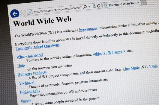 1991年8月6日，Tim Berners-Lee 向公众介绍了WWW和第一个web page and website