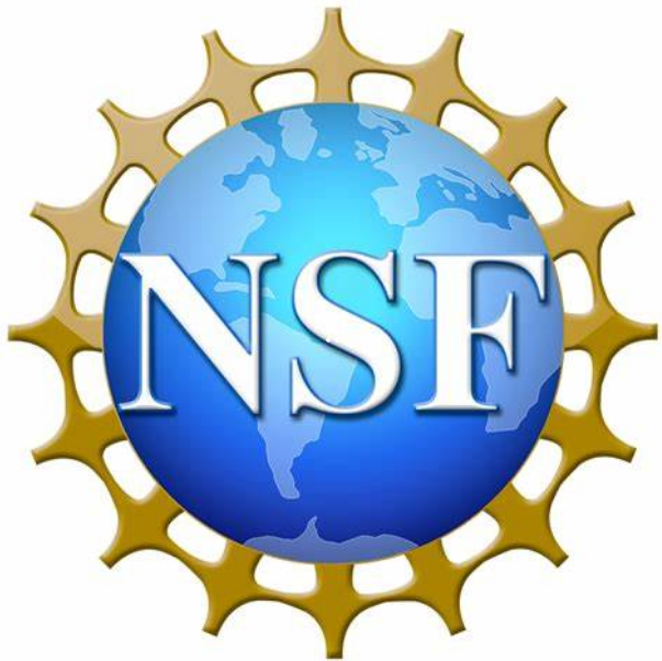 NSF于1991年开放了Internet供商业使用