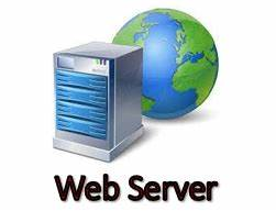 1991年12月1日，欧洲以外的第一台Web server上线
