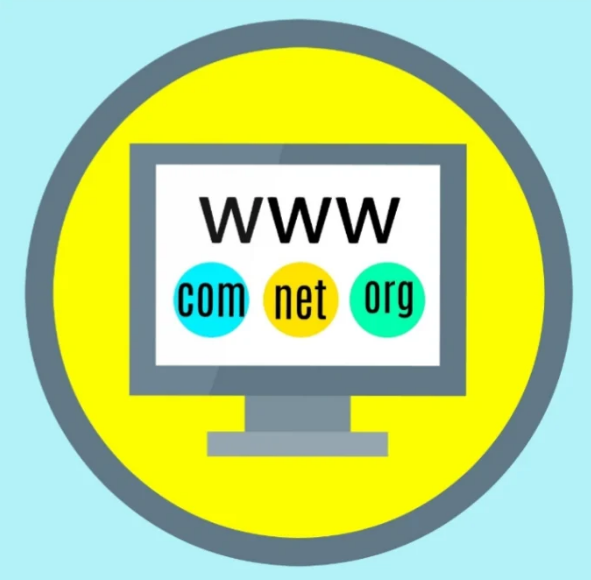 白宫和联合国官方网站在1993年上线，标志着“.gov”和“.org”域名的开始使用