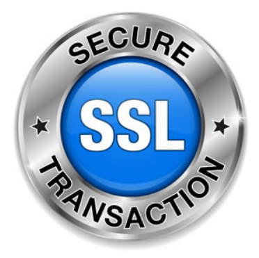 SSL协议是由Netscape于1995年2月开发和推出的