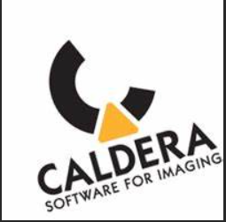 Caldera公司由Ransom Love和Bryan Sparks于1994年创立