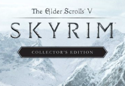 《上古卷轴5：天际》又称为Skyrim，由Bethesda Softworks于2011年11月发布