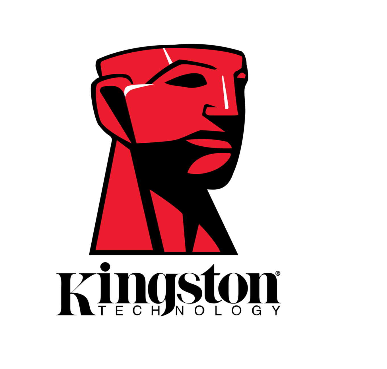 2013年1月，Kingston发布了首款1 TB的USB闪存盘