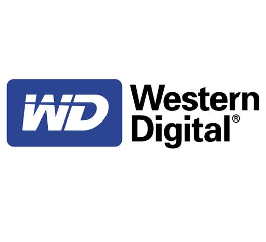 1970年4月23日通用电子成立，1971年7月更名为西部数据（Western Digital）