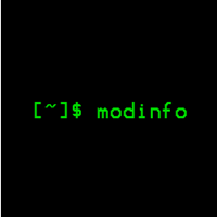 modinfo（显示有关内核中插入的模块的信息）