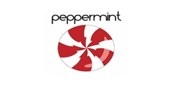 Peppermint OS 10 Respin (20191210) x32
