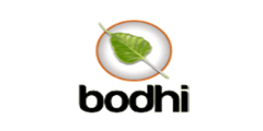Bodhi Linux 5.1.0-AppPack