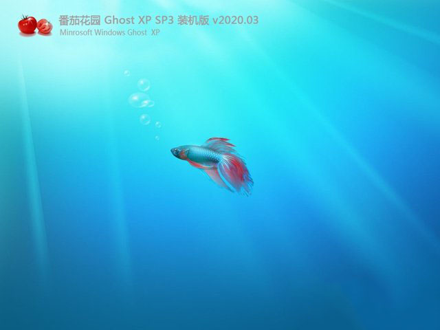 番茄花园GHOST XP 精选旗舰版 v2020.03