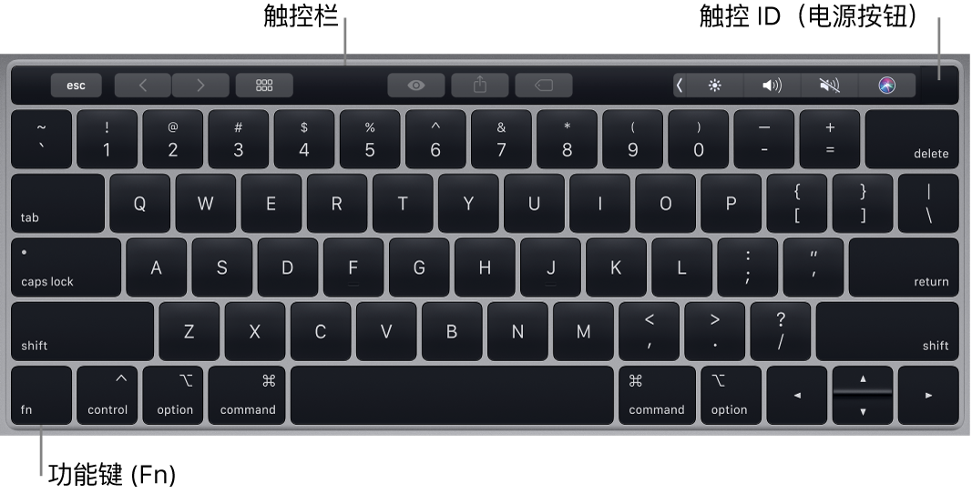 触控栏、触控 ID、键盘 - 新手入门操作 - Macbook Pro用户手册