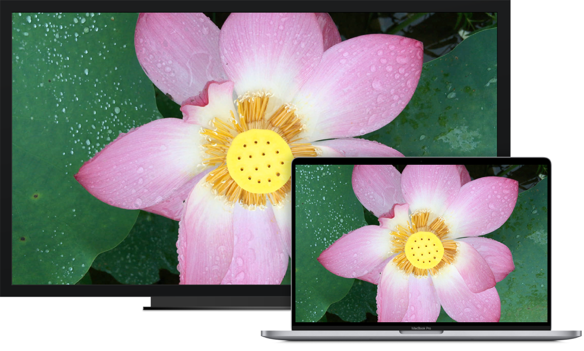 使用外部显示器（隔空播放）和Pro Display XDR - 新手入门操作 - Macbook Pro用户手册