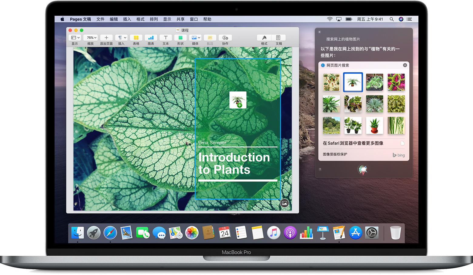 如何在Mac上使用Siri - 基本操作以及设置 - Macbook Pro用户手册