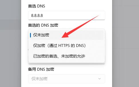 Win11怎么加密DNS Win11加密DNS的操作方法